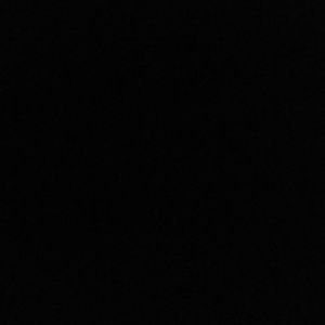 Meet your Posher, Shasta